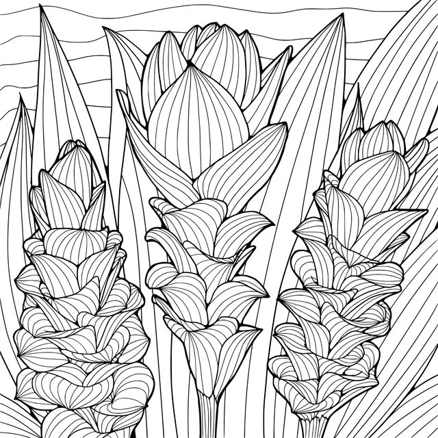 Colorful Torch Ginger Illustration