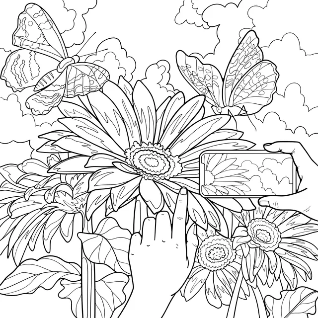 Photographing Beautiful Flowers and Butterflies
