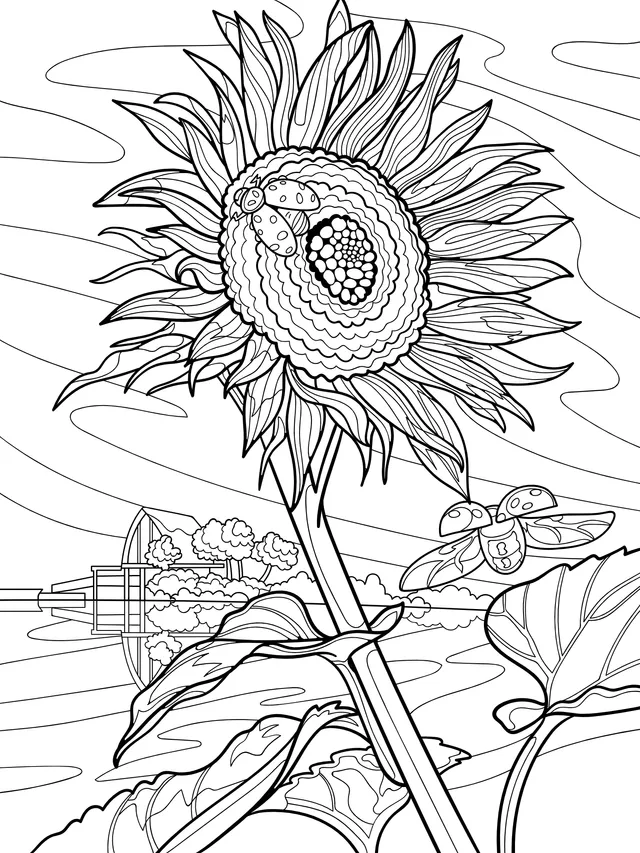 Sunflower and Ladybugs