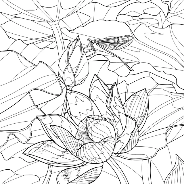 Lotus Flower and Dragonfly