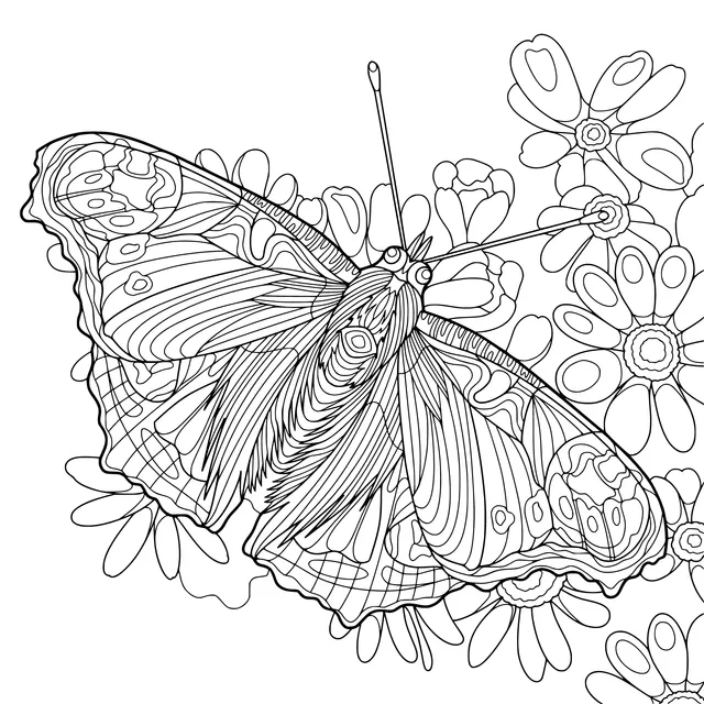 Butterfly in the Flower Cluster