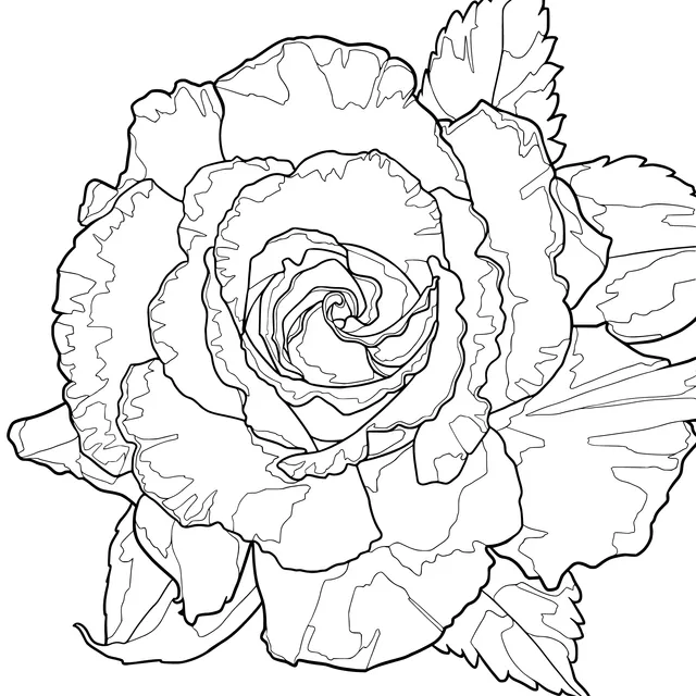 A peach - colored rose