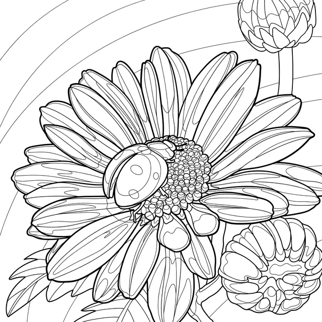 Ladybug and Pink Chrysanthemum