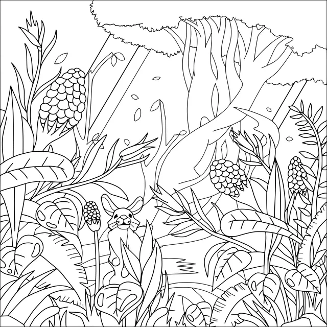 Rabbit in the Jungle