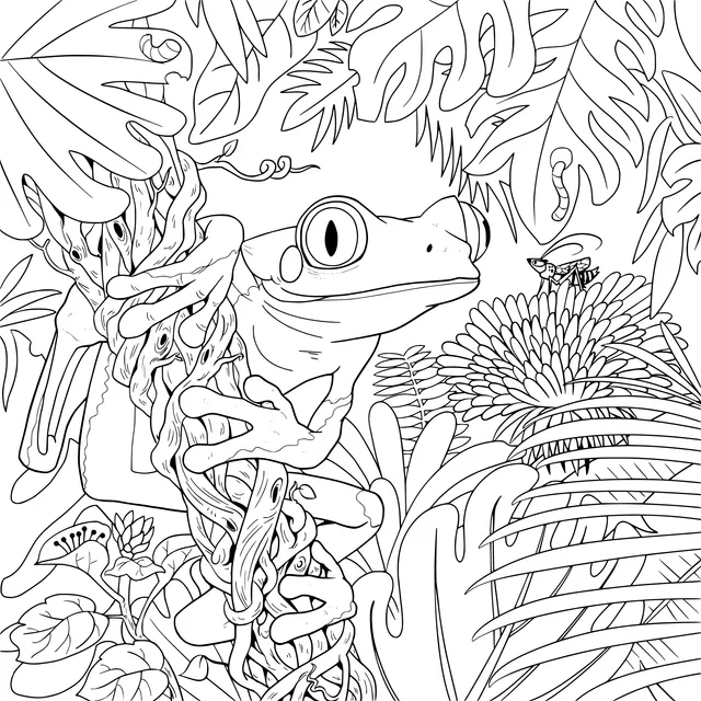 Frog in the Jungle