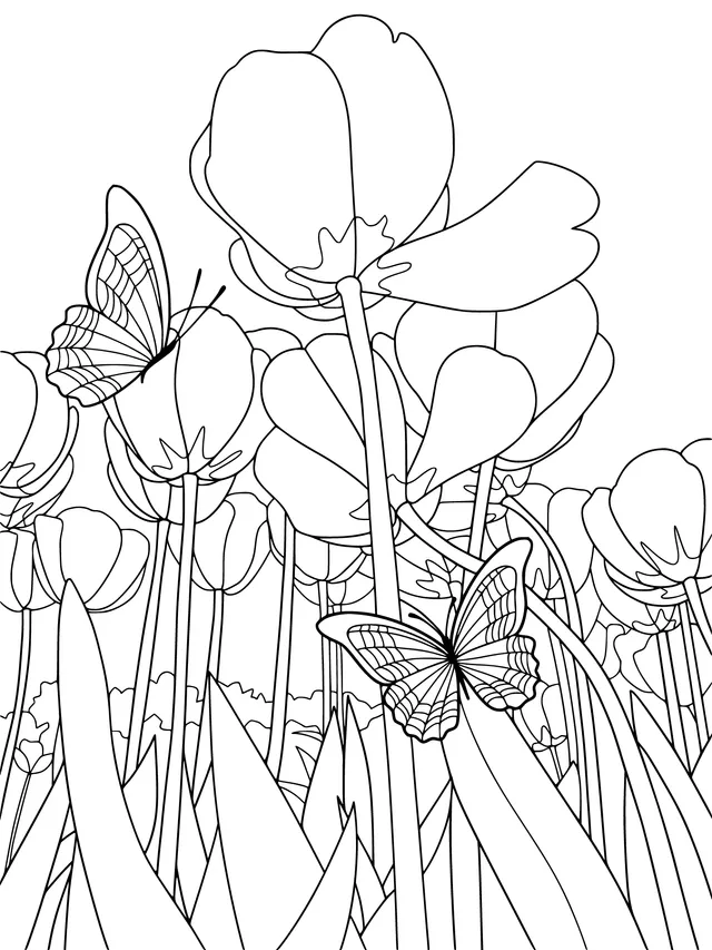 Butterflies in the Tulip Field