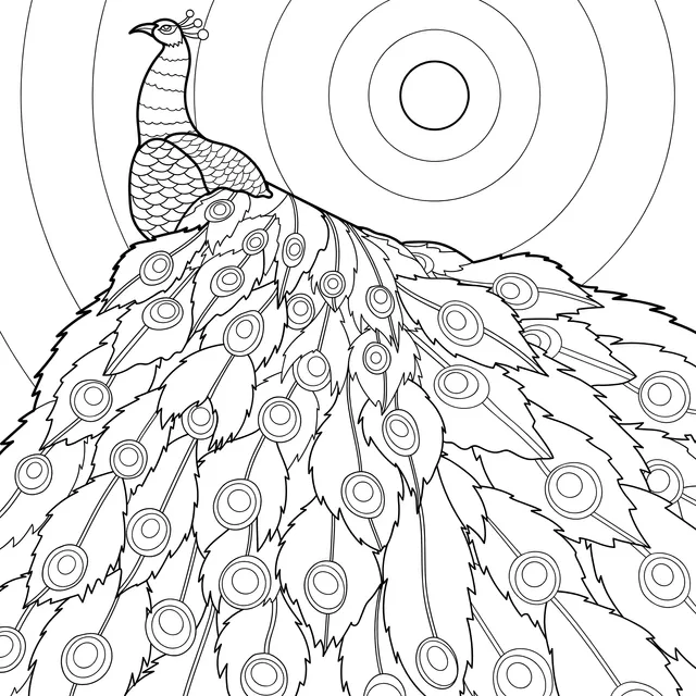 Peacock under the Moonlit Night