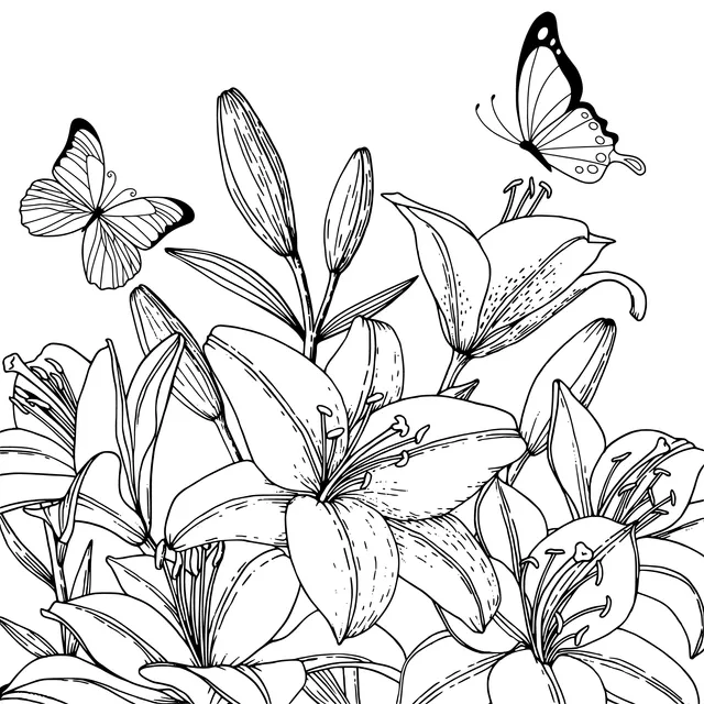 Lilies and Butterflies