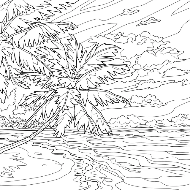 Tropical Beach Scenery