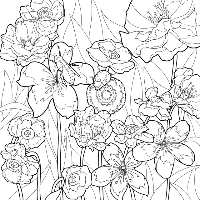 Insects and Flowers in the Flower Bed
