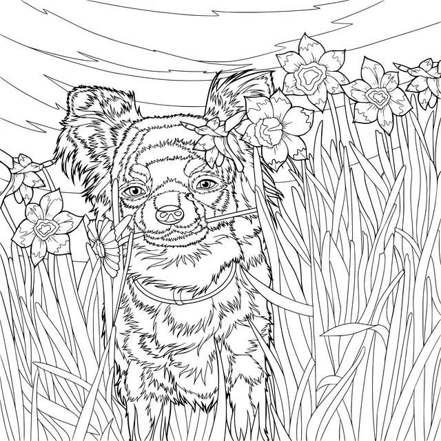 Dog in the Grass