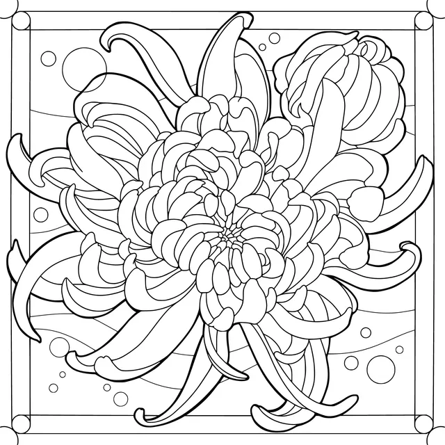 Gorgeous Chrysanthemum Illustration