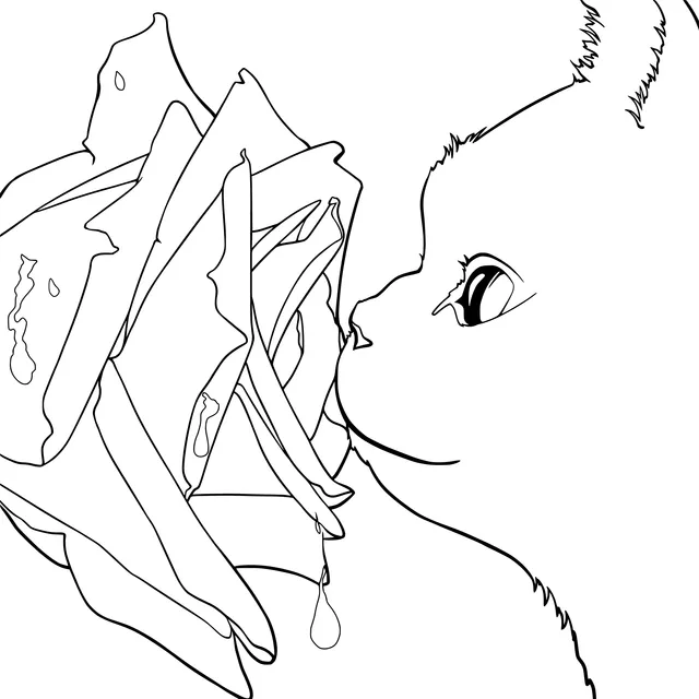 Cat sniffing a red rose