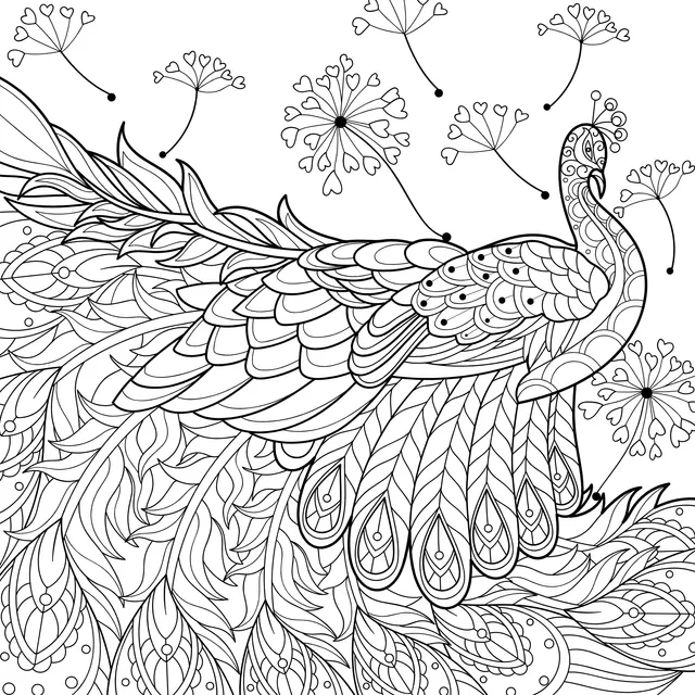 Gorgeous Peacock and Dandelions