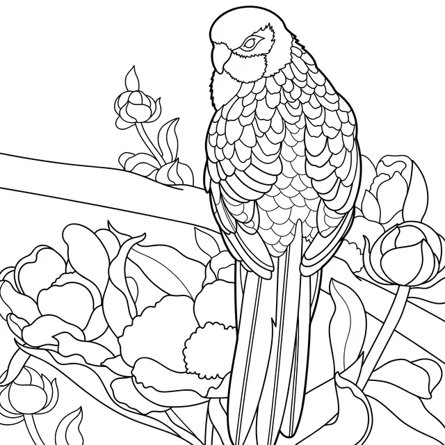 Colorful Parrot on the Branch