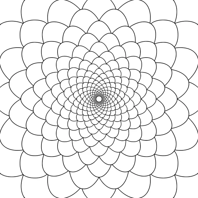 Colorful Concentric Petal Pattern