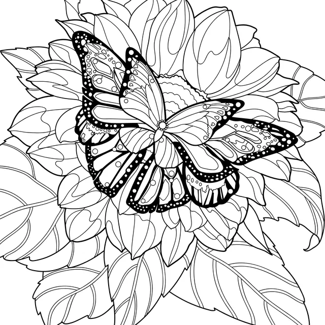 Colorful Butterfly on Sunflower
