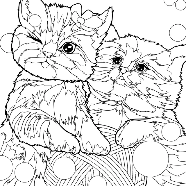 Cute Cat Companions
