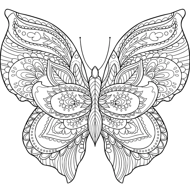Colorful Butterfly