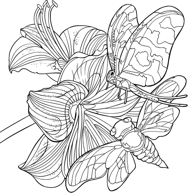 Flowers and Insects