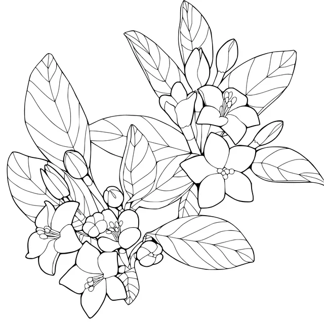 Fragrant White - flowered Plant