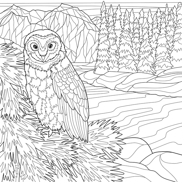 Owl on a Pine Tree