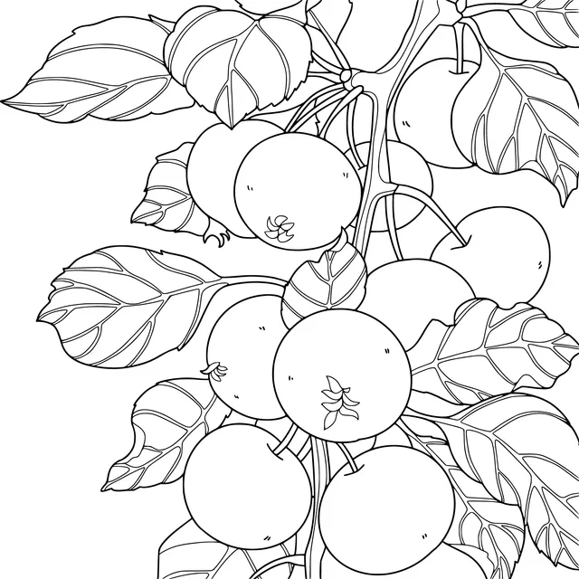 Fruits and Green Leaves on the Branch