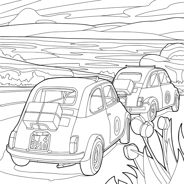 Two Vintage Cars on the Road