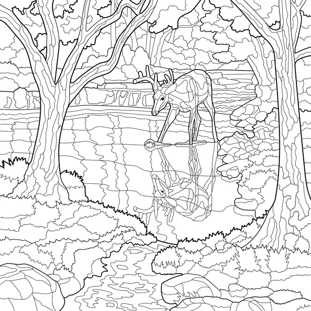 A Fawn and a Stream in the Forest