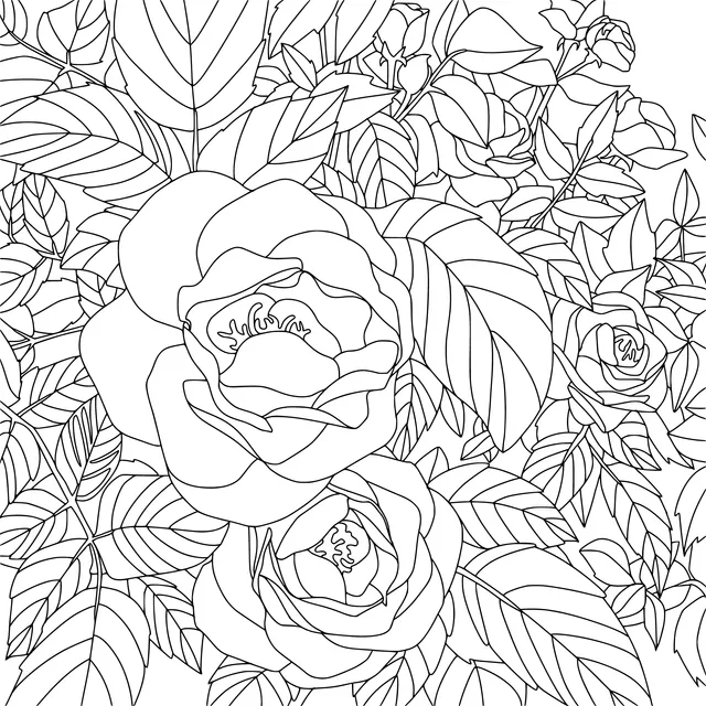 Vivid Rose Bushes
