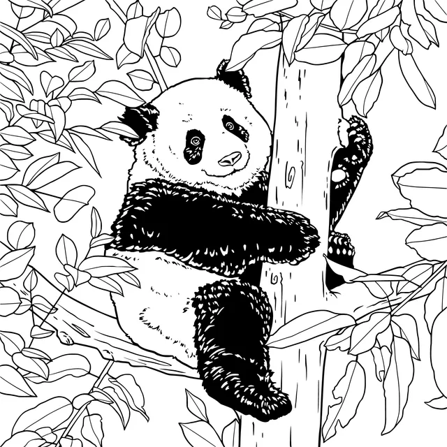 Panda in the Tree
