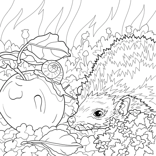 Hedgehog, Apple and Snail