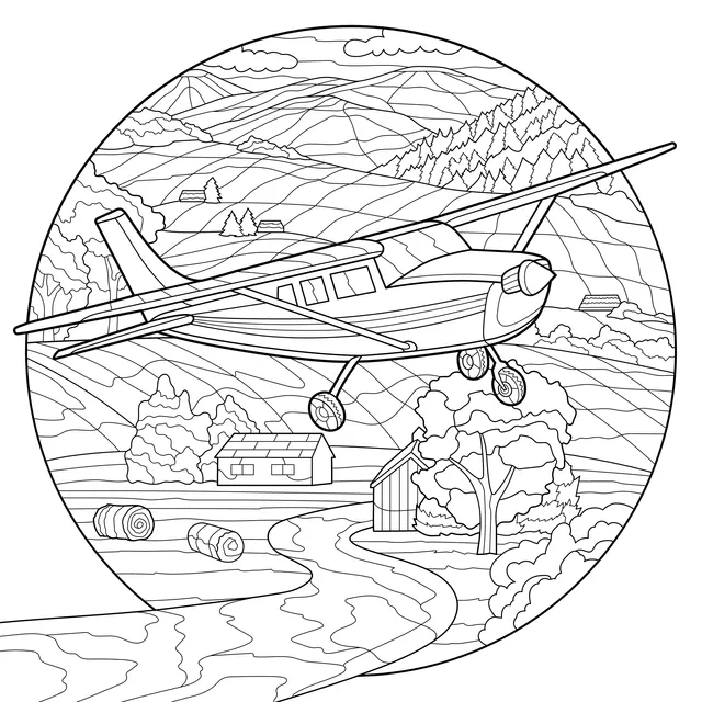 Airplane over the Countryside
