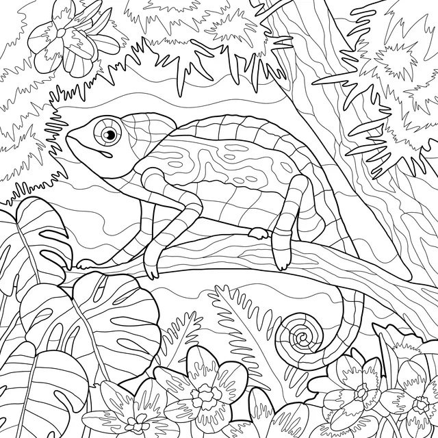 Colorful Chameleon on a Branch