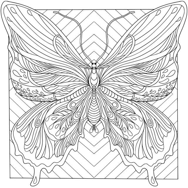 Colorful Patterned Butterfly