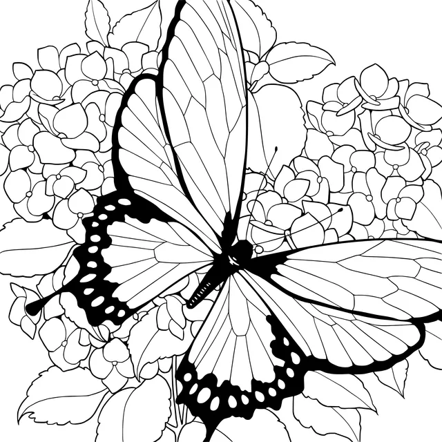 Butterfly and Hydrangeas