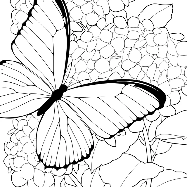 Blue Butterfly and Hydrangeas