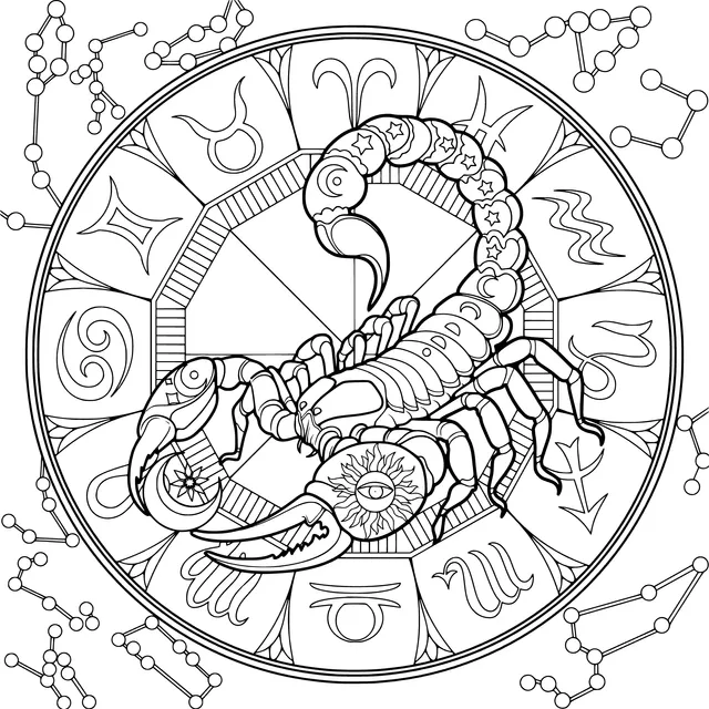 Mysterious Scorpion and Constellation Pattern
