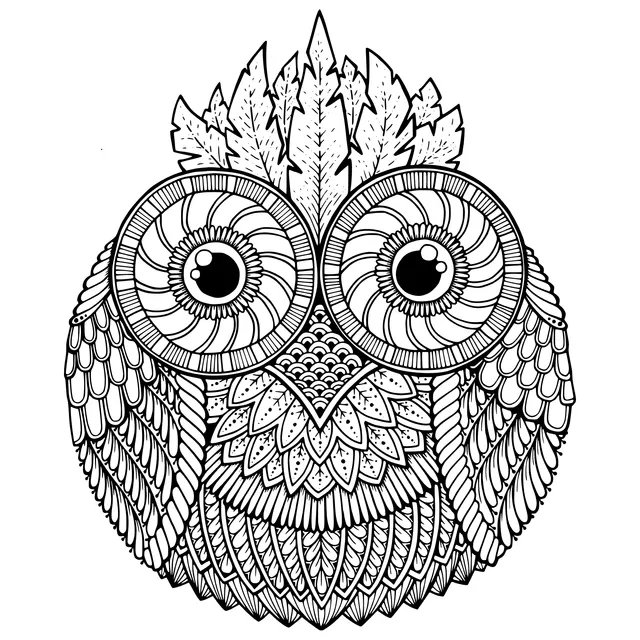 Owl Illustration