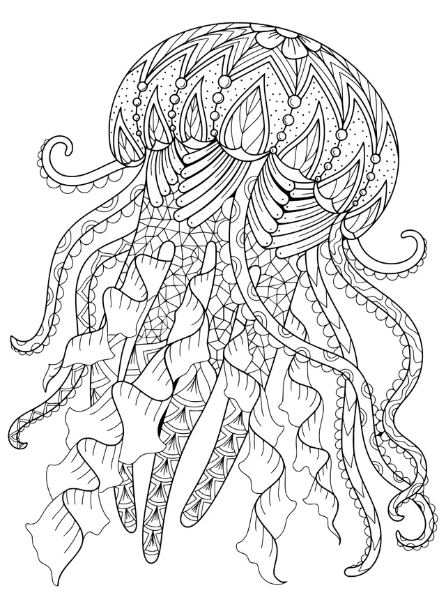 Dreamy Jellyfish