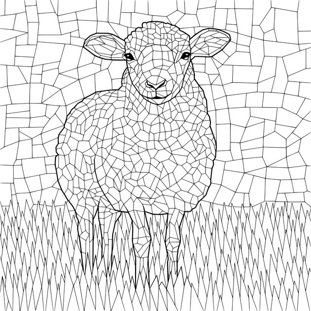Cute Sheep