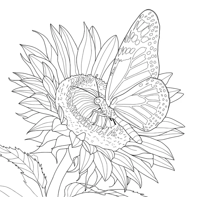 Butterfly on Sunflower