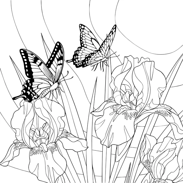 Butterflies Dancing among Irises