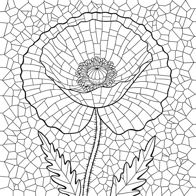 Beautiful Poppy Flower