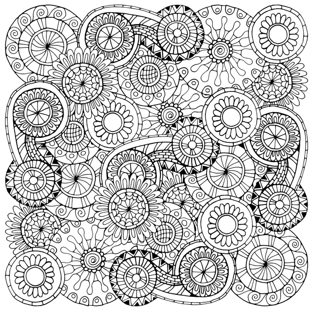 Colorful Flower Patterns