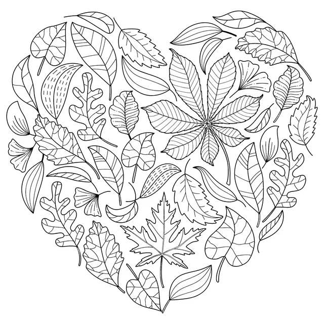 Heart - shaped Autumn Leaf Pattern