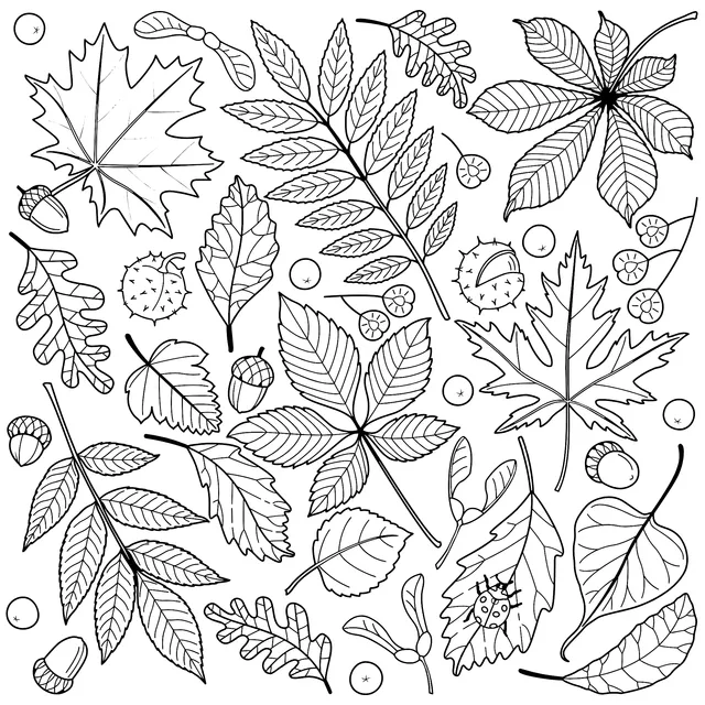 Colorful Autumn Leaves and Fruits