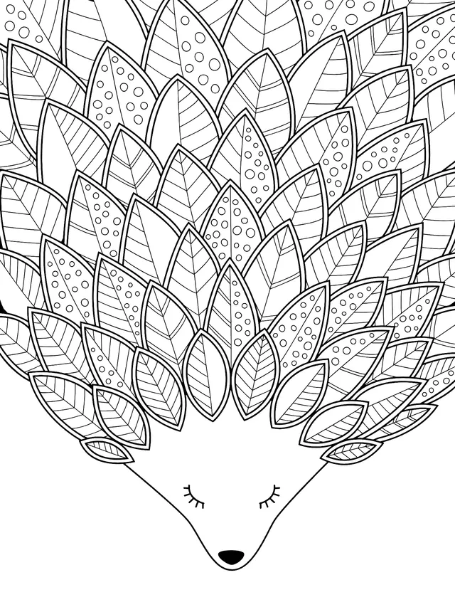 Cute Hedgehog Illustration