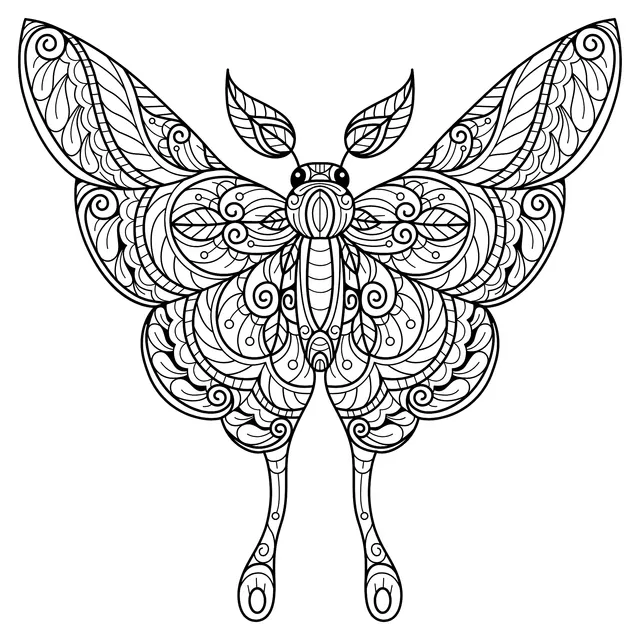 Gorgeous Butterfly Pattern