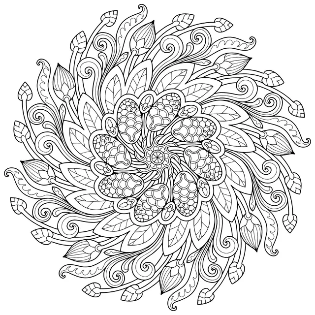Exquisite Floral Mandala Pattern
